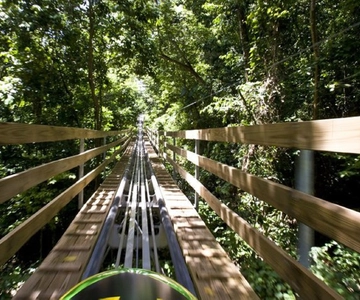Jamaica Bobsled and Zip Line Adventure Tour