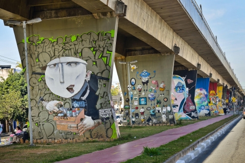 São Paulo Street Art TourVisite privée de l'art de la rue à São Paulo avec ramassage et débarquement
