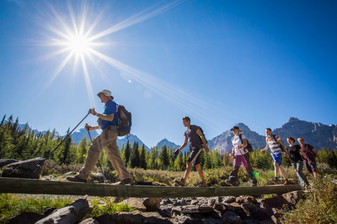 Banff National Park: Guided Signature Hikes with Lunch Banff National Park: Larch Valley Hike with Lunch