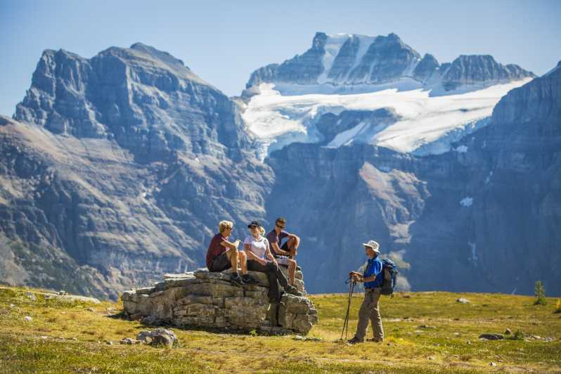 Banff National Park: Guided Signature Hikes with Lunch
