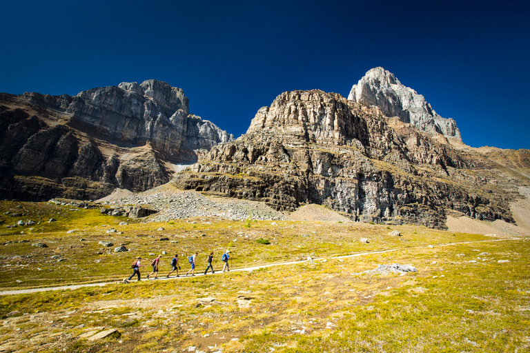 Banff National Park: Guided Signature Hikes with Lunch Banff National Park: Larch Valley Hike with Lunch