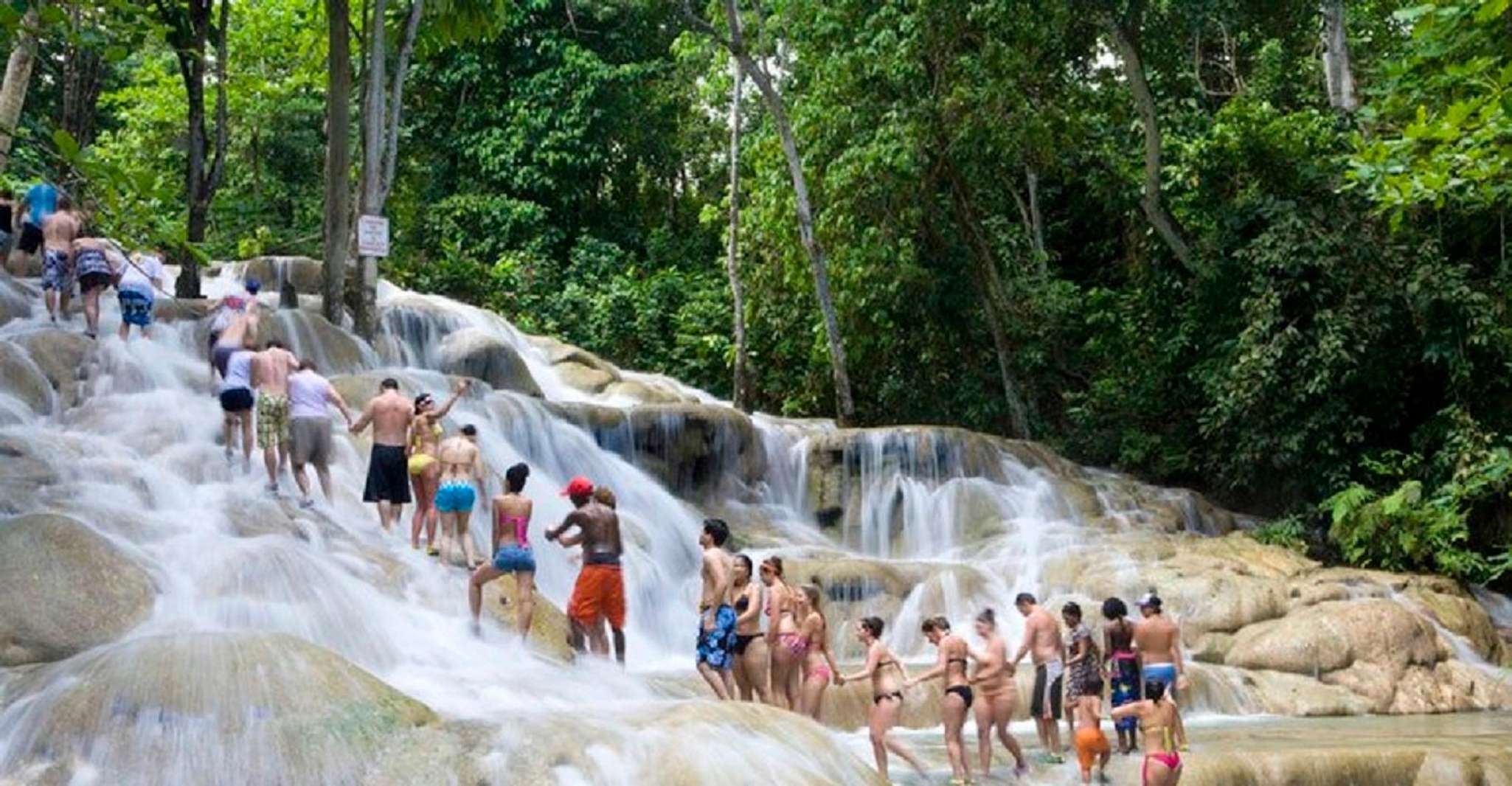 Dunn's River Falls 和Bob Marley Mausoleum 游览会 - Hizvo