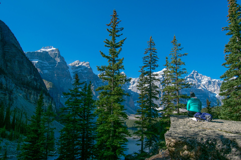 Banff National Park: Hop-on hop-off-buss dagspassBanff nationalpark: Hop-on-Hop-off busspass för en dag