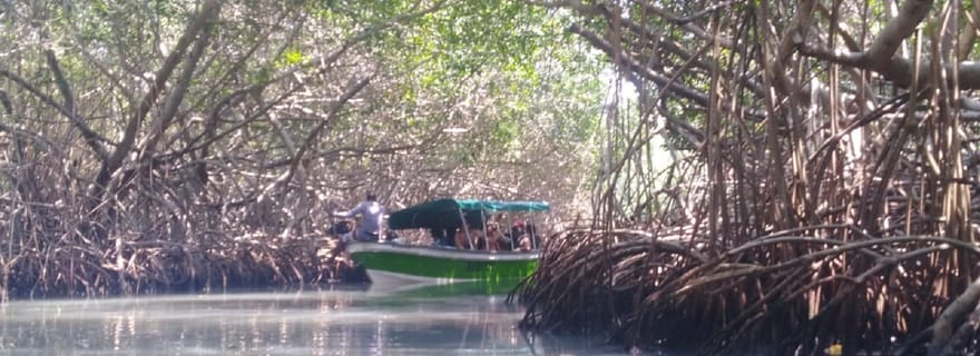 Mangroves, pêche culturelle, ville du patrimoine noir et déjeuner
