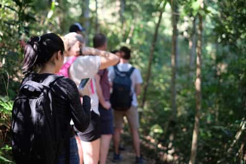 Chiang Mai Trek: Doi Suthep Area w/ Market and Temple Visit