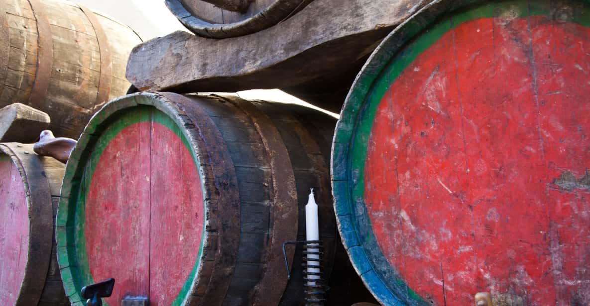 Strada del vino Frascati: degustazione e pranzo da Roma