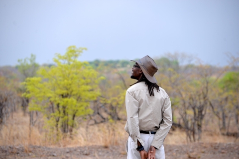 Parque Nacional Livingstone: tour de observación de aves de medio día