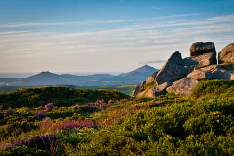 The Hills of Dublin Hiking Tour