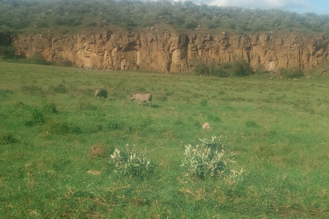 Mount Longonot Climbing Tour z Nairobi