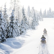 Vuokatti: Snowmobile Safari with Lunch at Haapala B&B