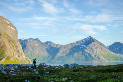 Tromsø: Summer Day Hike in the Wilderness Tromsø: Summer Day Hike in the wilderness