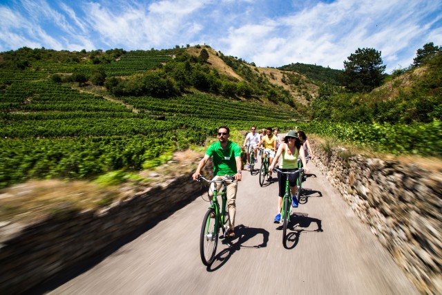 Visit Grape Grazing Wachau Valley Winery Biking Tour in Heraklion, Crete, Greece