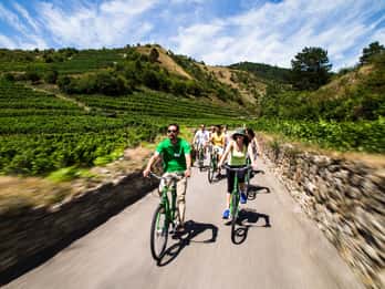 Grape Grazing: Wachau Valley Winery Biking Tour