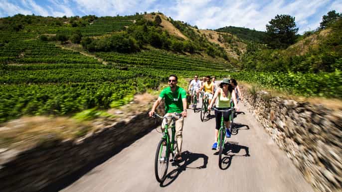 grape grazing wachau valley winery biking tour