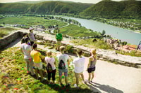 Grape Grazing, Wachau Valley Winery Biking Tour - Housity
