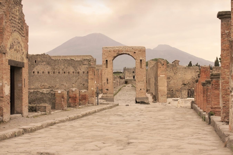 From Rome: Pompeii Day Trip by Fast Train and Car Standard Option