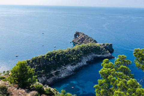 Mallorca: Tour de Fórmula Car em Sa ForadadaMallorca: Tour de Fórmula Car para Sa Foradada