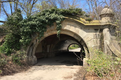 Brooklyn: tour guidato a piedi di 2 ore al Prospect Park