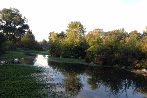 Brooklyn: tour guidato a piedi di 2 ore al Prospect Park