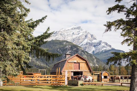 Banff: Wagon Ride mit Cowboy Cookout BBQ