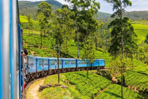 Depuis Ella ou Bandarawela: visite tout compris en train d'AdishamDepuis Ella: visite tout compris d'Adisham Rail