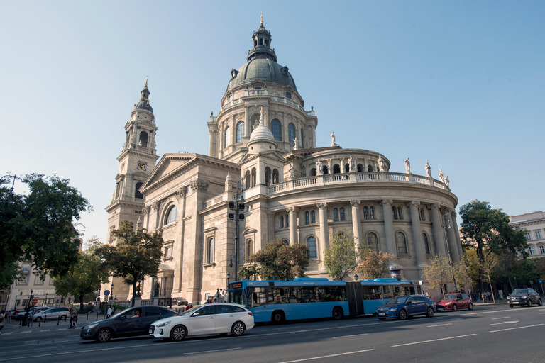 Budapest: Sightseeing med slottsberget, åktur genom Pest och kryssningRundtur på engelska