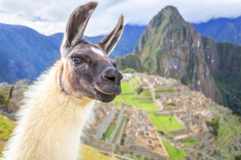 Vanuit Cuzco: 2-daagse tour Machu Picchu & Heilige ValleiAnnuleringsbeleid zonder geld terug