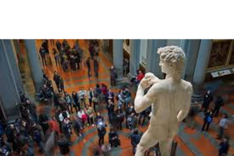 Florence: Medici Tour met David van Michelangelo