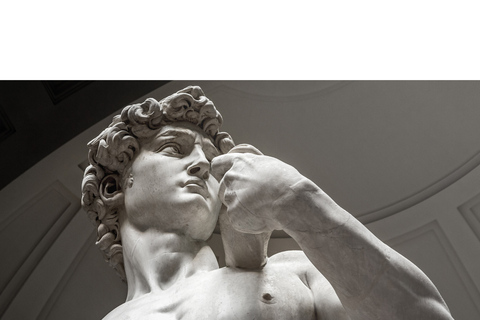 Florence: Medici Tour met David van Michelangelo