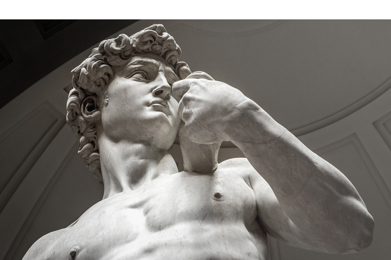 Florence: Medici Tour met David van Michelangelo