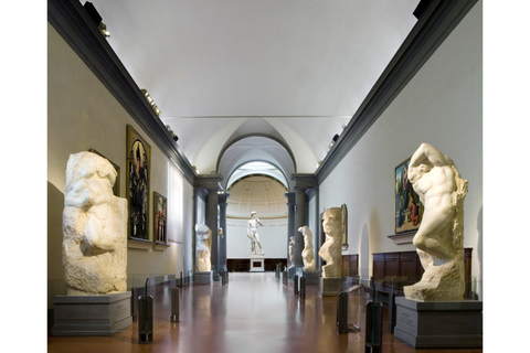 Florence: Medici Tour met David van Michelangelo