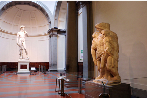 Florence: Medici Tour met David van Michelangelo