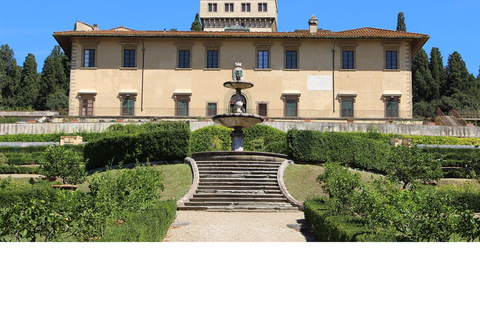 Florence: Medici Tour met David van Michelangelo