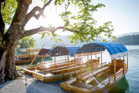 Vanuit Ljubljana: trip naar meer en kasteel van Bled