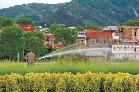 Tbilisi: City Sightseeing and Wine Tour with Tasting