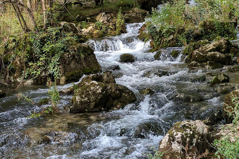 Depuis Belgrade : journée complète à la grotte de Resava et aux monastères médiévauxVisite de groupe