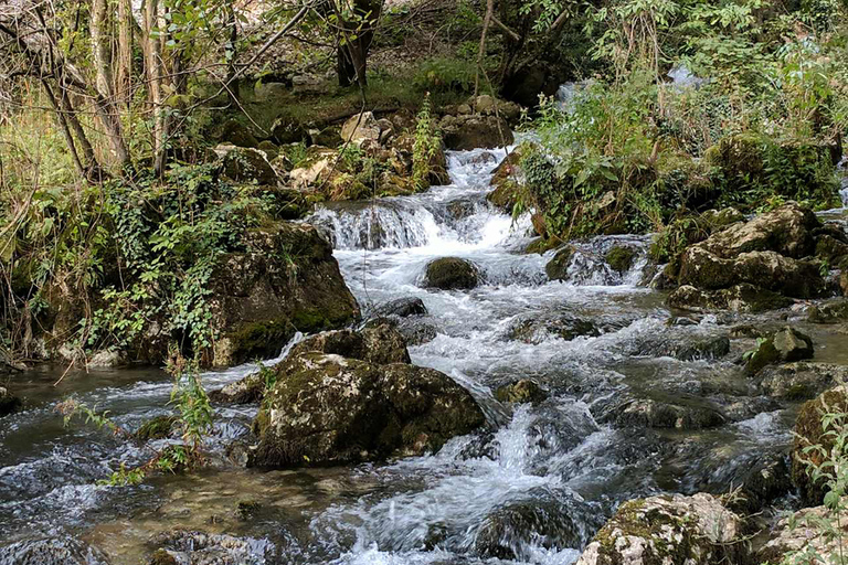 Depuis Belgrade : journée complète à la grotte de Resava et aux monastères médiévauxVisite de groupe