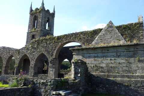 Desde Dublín: tour de Wicklow y Glendalough