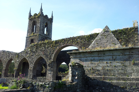 From Dublin: Wicklow and Glendalough Tour