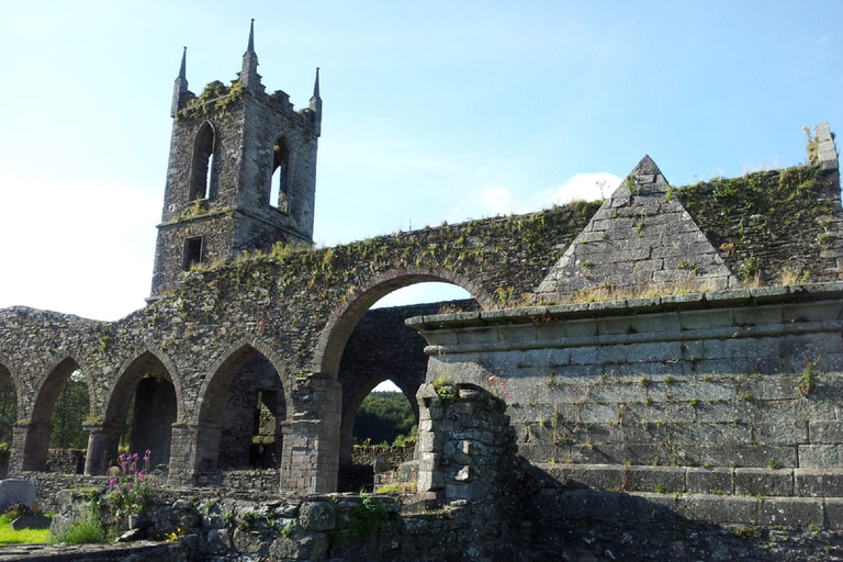 Från Dublin: Wicklow &amp; Glendalough-tur med fårhundsdemo