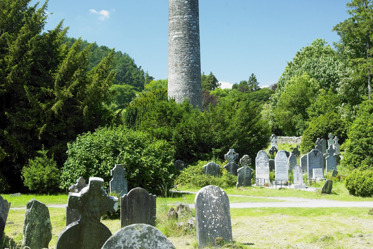 De Dublin: Passeio por Wicklow e Glendalough com demonstração de cães pastores