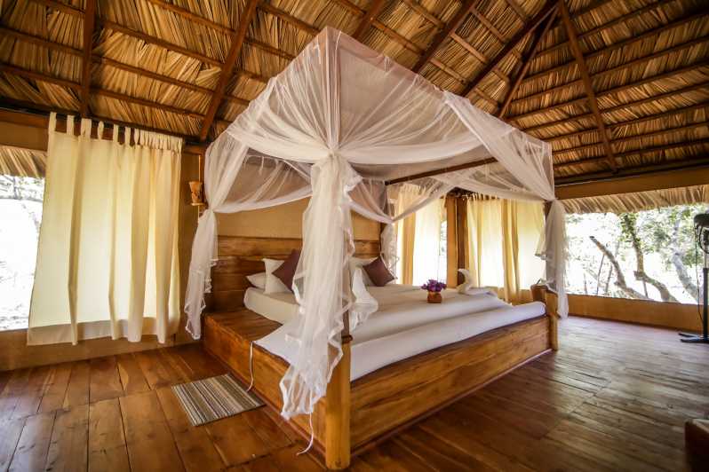 Luxury Camping and Safari Experience in Yala Park