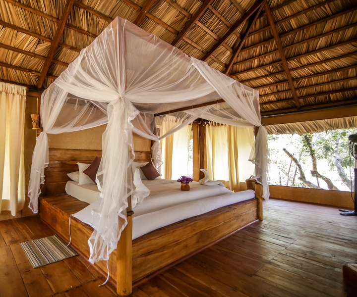 Luxury Camping and Safari Experience in Yala Park