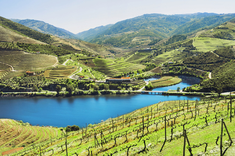 Tour completo pelo Vale do Douro - Visita a 3 vinícolas e almoçoPorto: Douro Valley Wine Tour com almoço