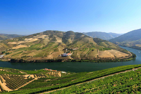 Complete Douro Valley Tour - Visit to 3 Wineries &amp; LunchPorto: Douro Valley Wine Tour with Lunch