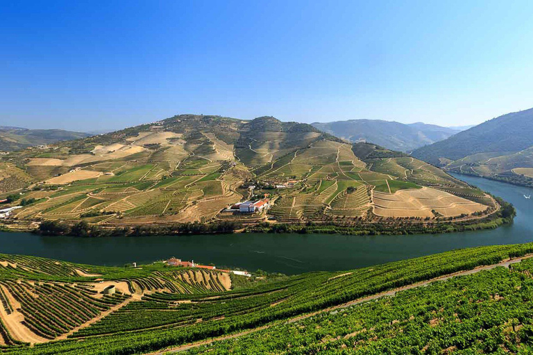 Porto: visite des vignobles de la vallée du Douro avec déjeuner