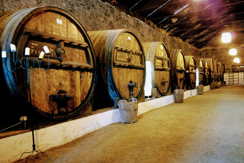 Complete Douro Valley Tour - Visit to 3 Wineries &amp; LunchPorto: Douro Valley Wine Tour with Lunch