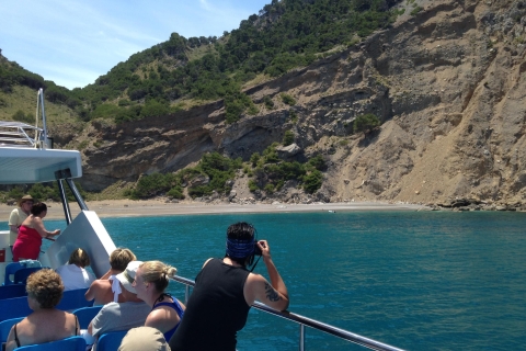 Mallorca: 2 horas en barco con fondo de cristal a Coll Baix
