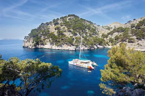 Mallorca: North Coast Catamaran Cruise with Lunch