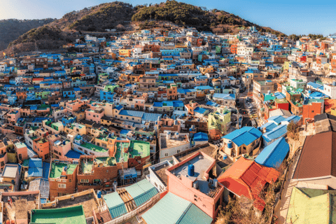 Busan : pour les passagers de croisière, visite en voiture privéeBusan : Visite en voiture privée pour les passagers de croisière